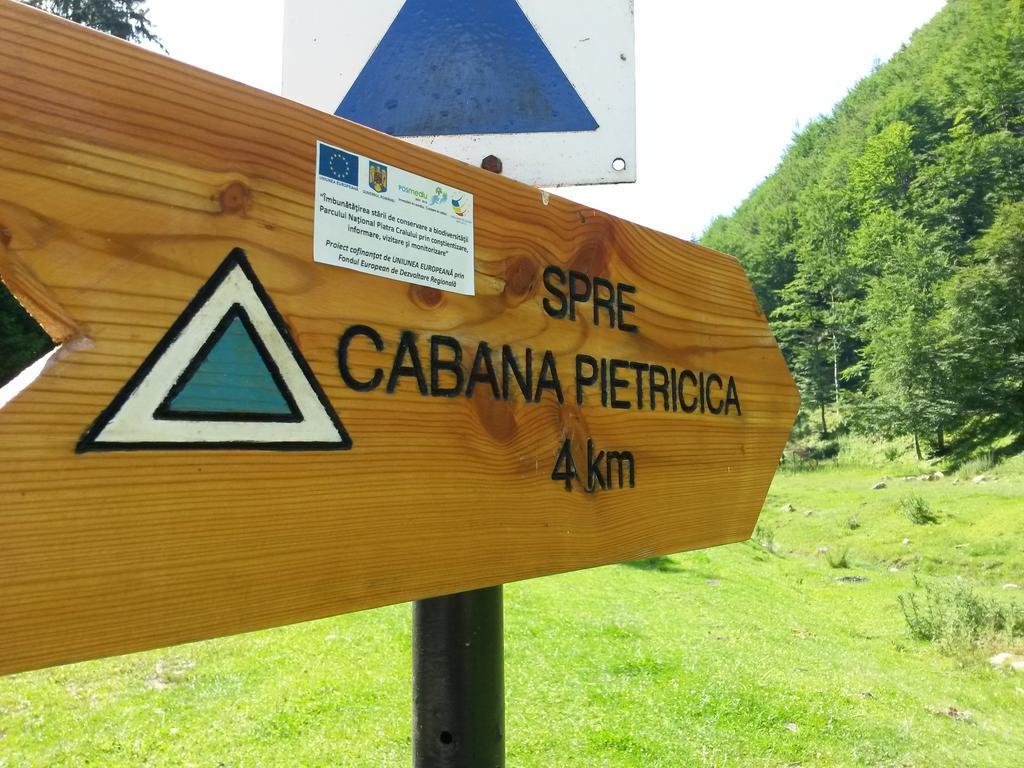 Cabana Pietricica Димбовічйоара Екстер'єр фото