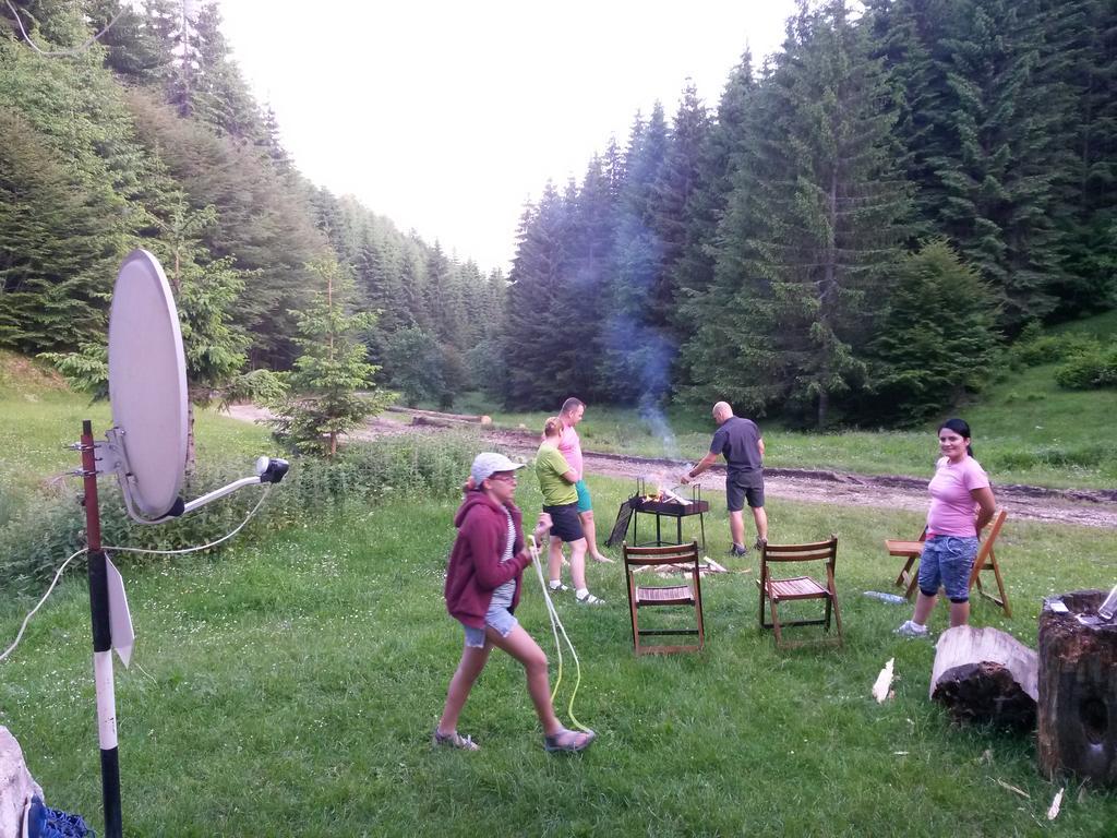 Cabana Pietricica Димбовічйоара Екстер'єр фото