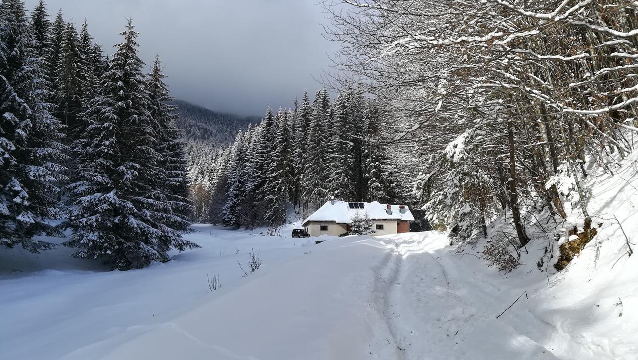 Cabana Pietricica Димбовічйоара Екстер'єр фото