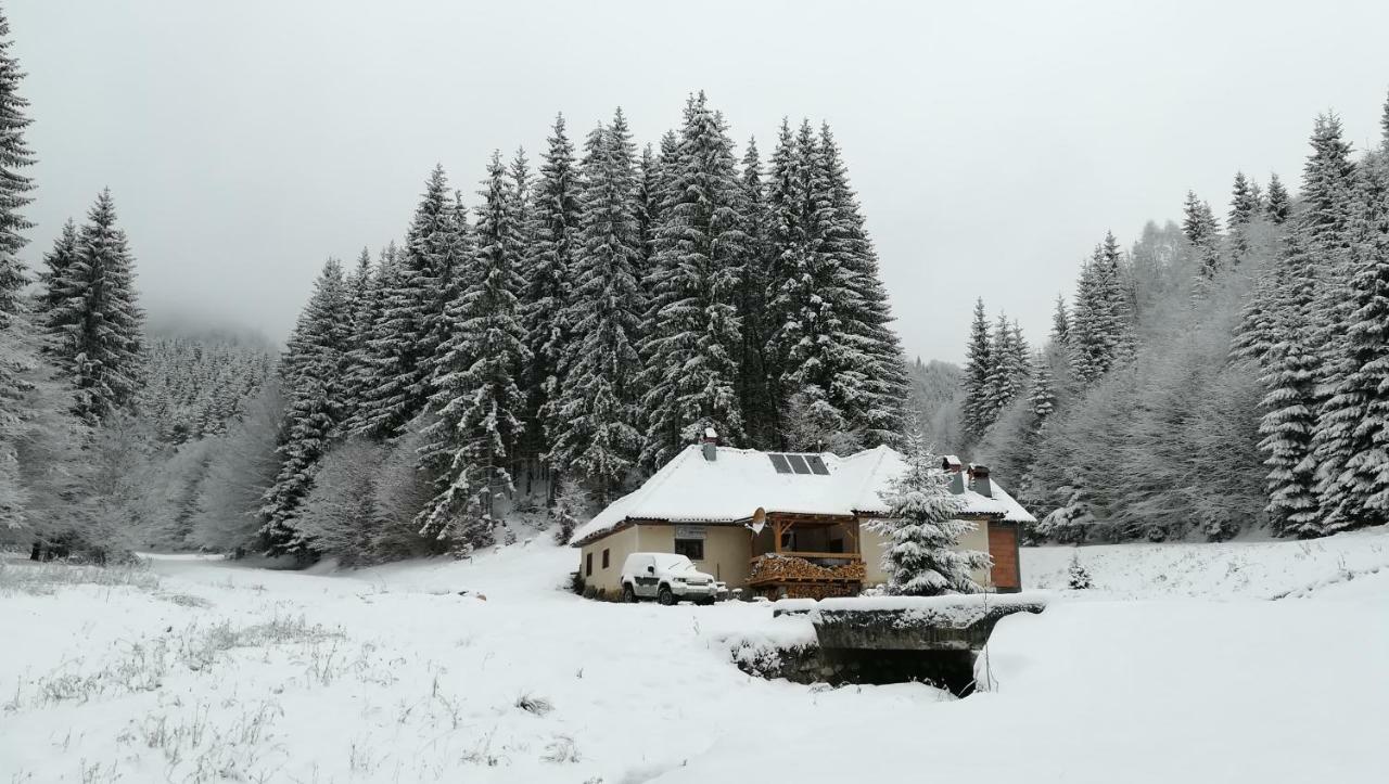 Cabana Pietricica Димбовічйоара Екстер'єр фото