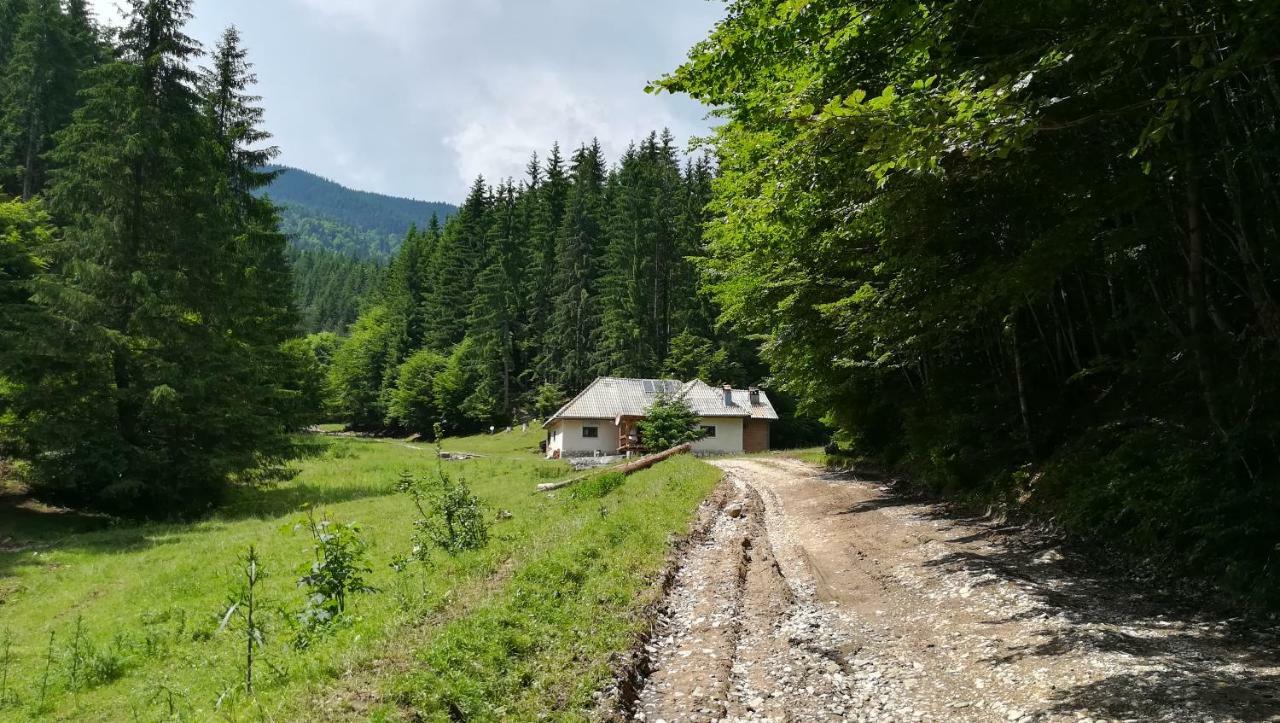 Cabana Pietricica Димбовічйоара Екстер'єр фото