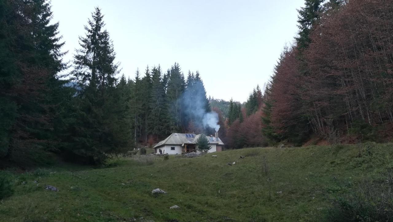 Cabana Pietricica Димбовічйоара Екстер'єр фото